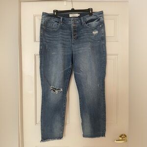 Torrid button fly straight jeans